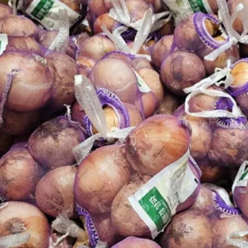 친환경양파1망 (2KG) 원산치 : 국내산