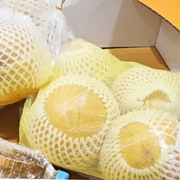 햇배 1봉 3.5KG (4-6입) 원산지 : 국내산
