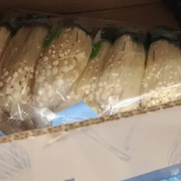 무농약 팽이버섯 (6-7입) 원산지 : 국내산