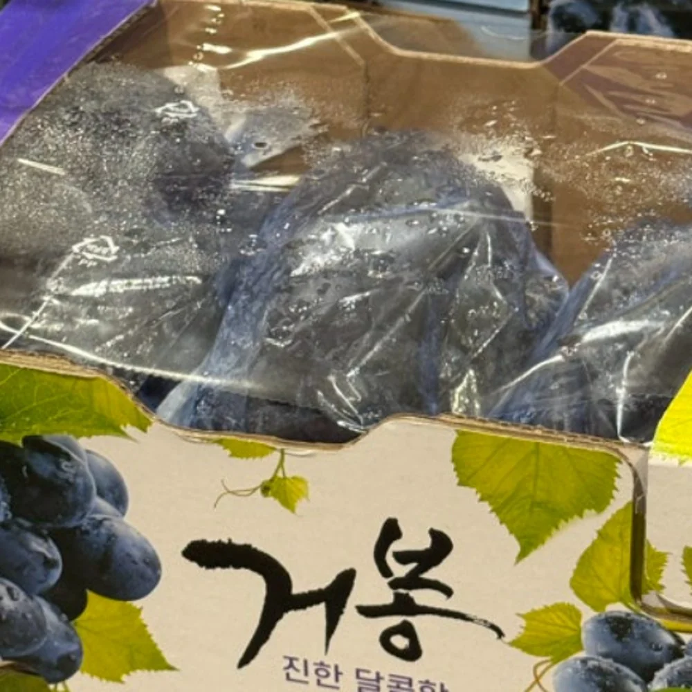 거봉포도 (2KG) 원산지 : 국내산