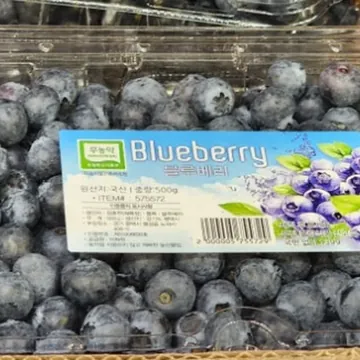 무농약 블루베리 (500G) 원산지: 국내산