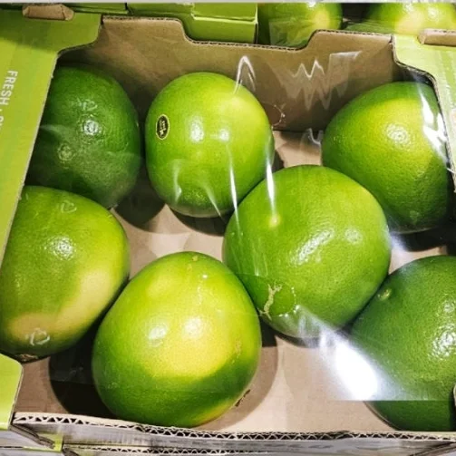 메로골드 자몽 ( 3.5KG 이상) 원산지 : 미국