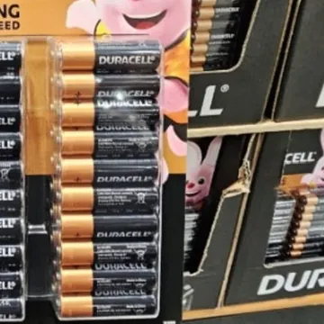 DURACELL듀라셀 알카라인 건전지 AA(1.5V) 40개입