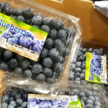 블루베리 (500G) 원산지 : 국내산
