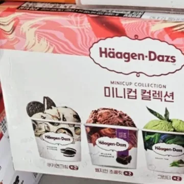 HAAGEN-DAZS 미니컵 컬렉션 100ML X 10