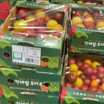 칵테일 토마토 (2KG) 원산지 : 국내산