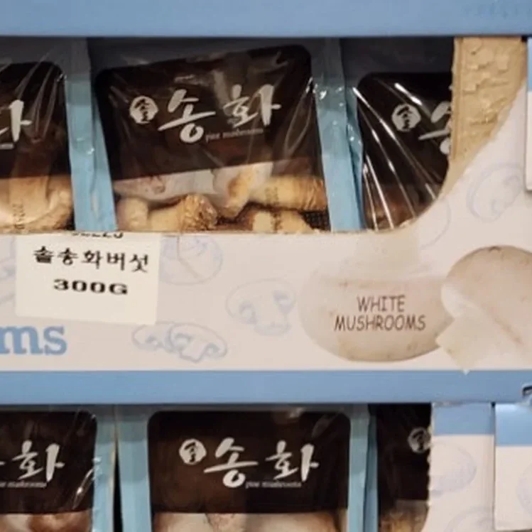 무농약솔송화버섯 (300G) 원산지 : 국내산