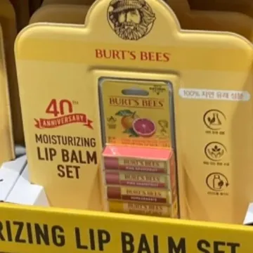 BURT'S BEE 버츠비 립밤 5입