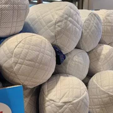 알러텍트바이세사 아이스 바디필로우 20X100CM