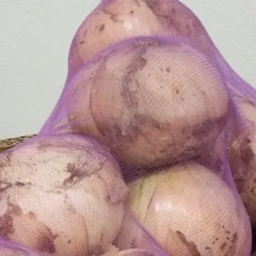 친환경양파1망 (4KG) 원산지:국내산