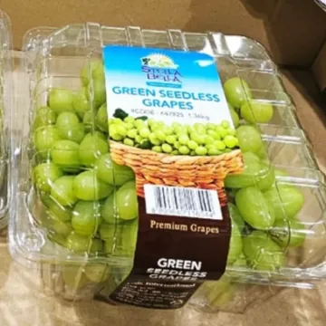스텔라벨라청포도 (1.36 KG) 원산지 : 상품에 표기
