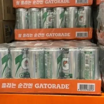 게토레이 레몬 240ML X 30캔
