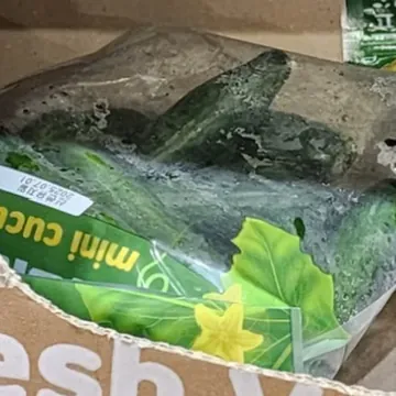 미니오이 (1.3KG) 원산지: 국내산