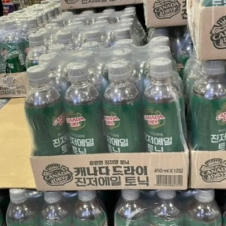 캐나다드라이 진저에일 450ML X 12
