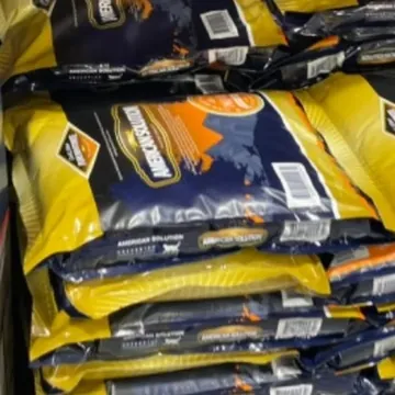 AMERICAN SOLUTION 벤토나이트 모래 무향 / 9KG