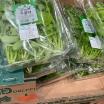 무농약 루꼴라 150G 원산지 : 국내산