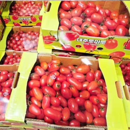 미니 대추토마토 (2KG) 원산지 : 국내산