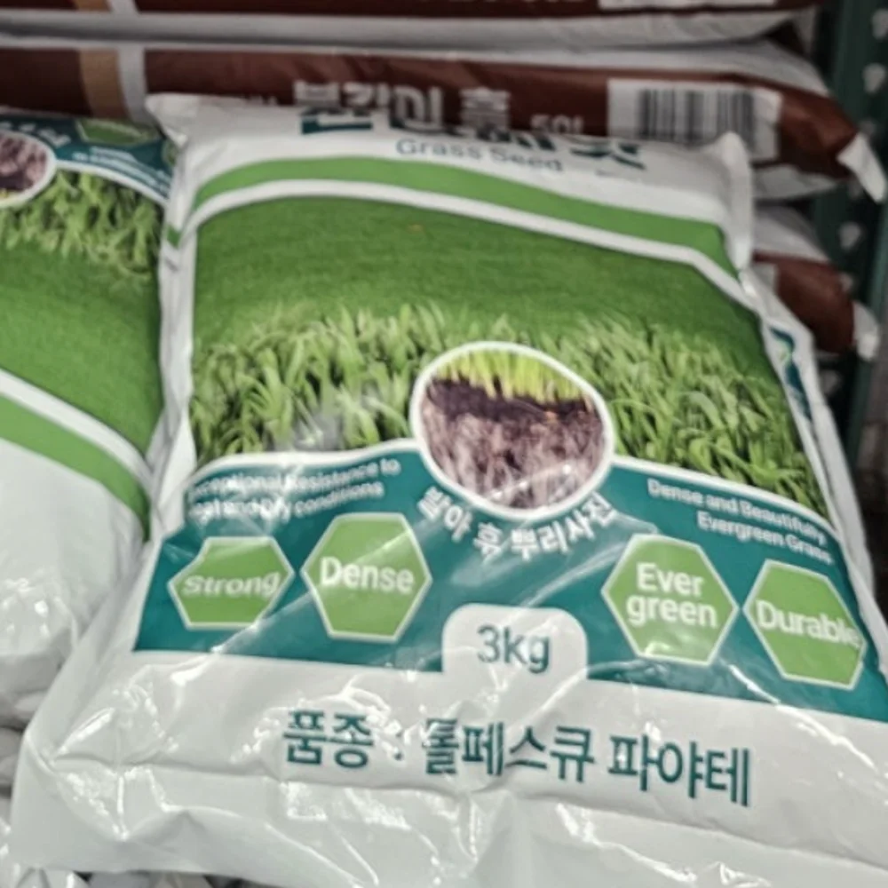 KG 케미칼 톨훼스큐잔디씨앗 3KG