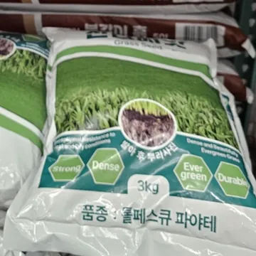KG 케미칼 톨훼스큐잔디씨앗 3KG