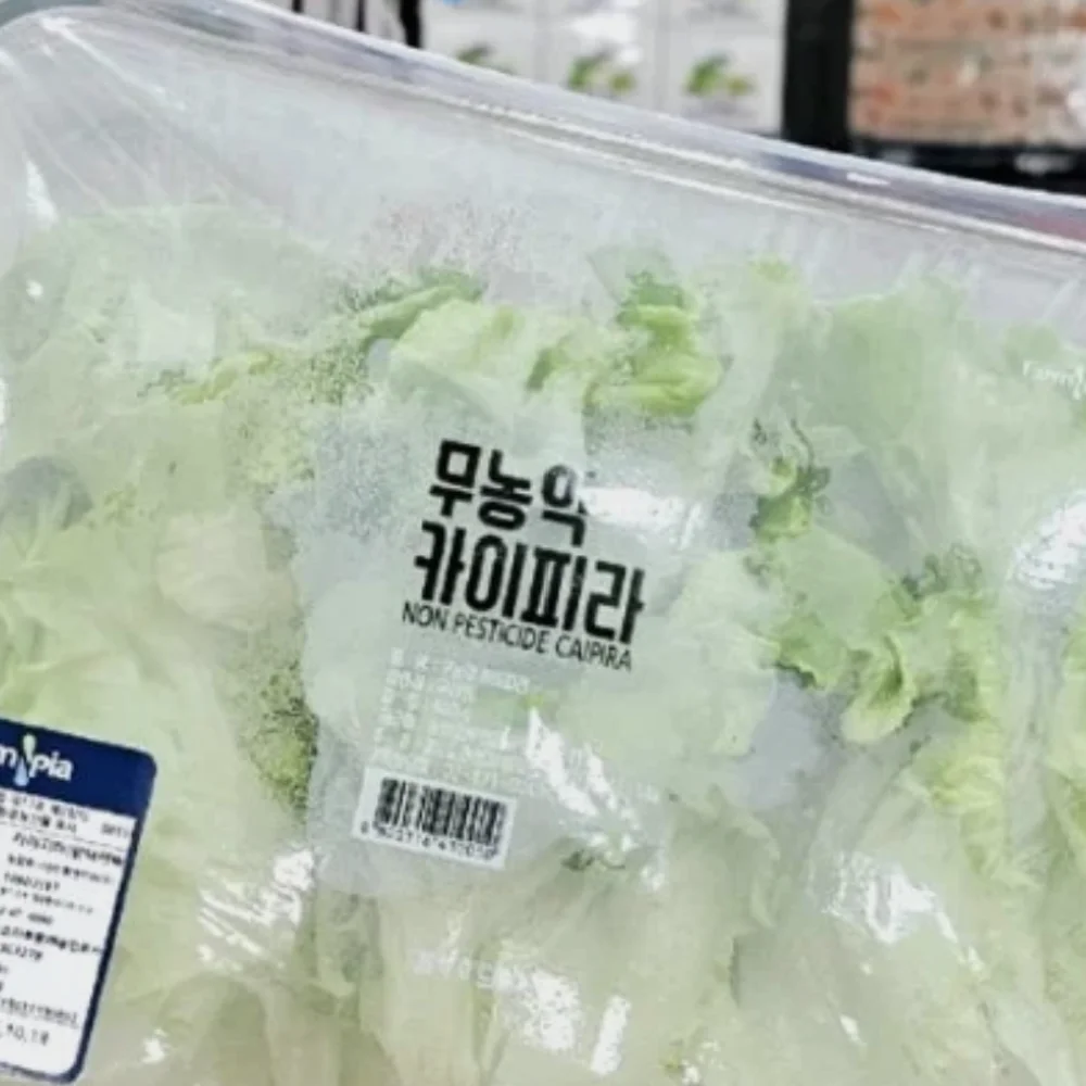 무농약 카이피라 400G 원산지 : 국내산