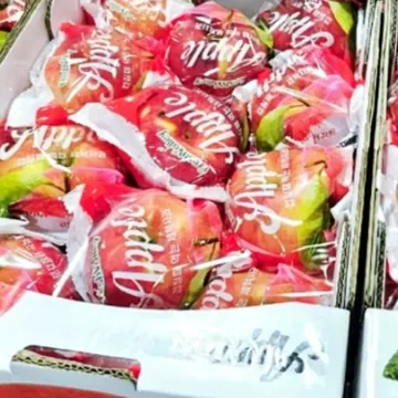 껍질째 먹는 사과 (2.5KG) 원산지 : 국내산