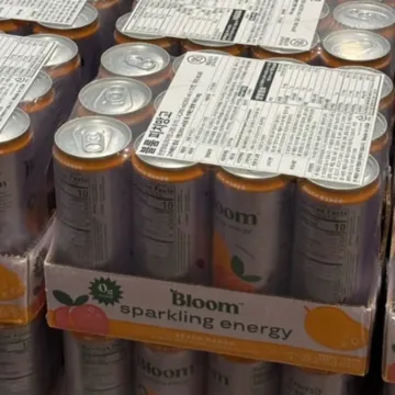 BLOOM에너지드링크 피치 & 망고 355ML X12캔