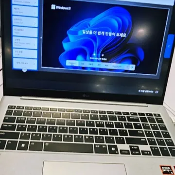 LG 그램 프로