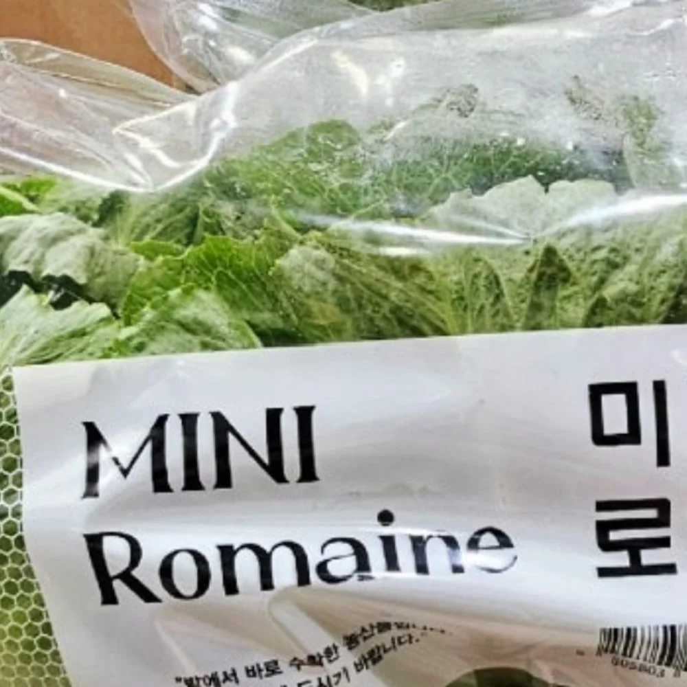 미니로메인 (1KG) 원산지 : 국내산