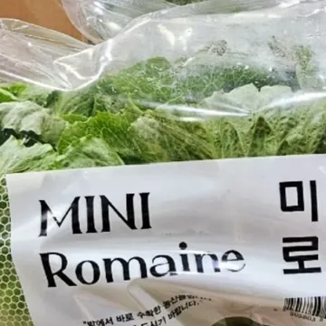 미니로메인 (1KG) 원산지 : 국내산