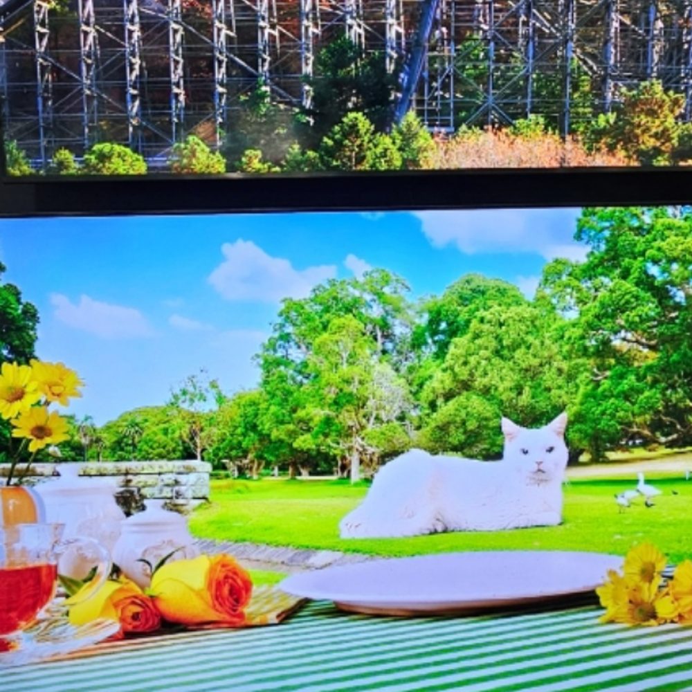 SAMSUNG MINI LED TV 75형 189CM