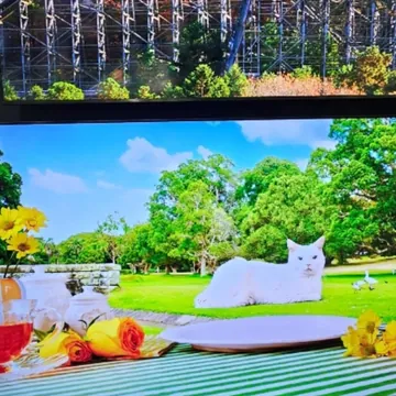 SAMSUNG MINI LED TV 75형 189CM