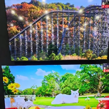 SAMSUNG MINI LED TV 85형 214CM