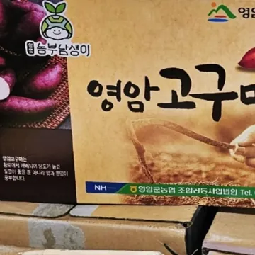 영암고구마 1박스 (5KG) 원산지:국내산