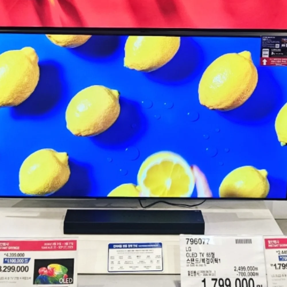 LG OLED TV 65형 스탠드/벽걸이택1