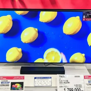 LG OLED TV 65형 스탠드/벽걸이택1